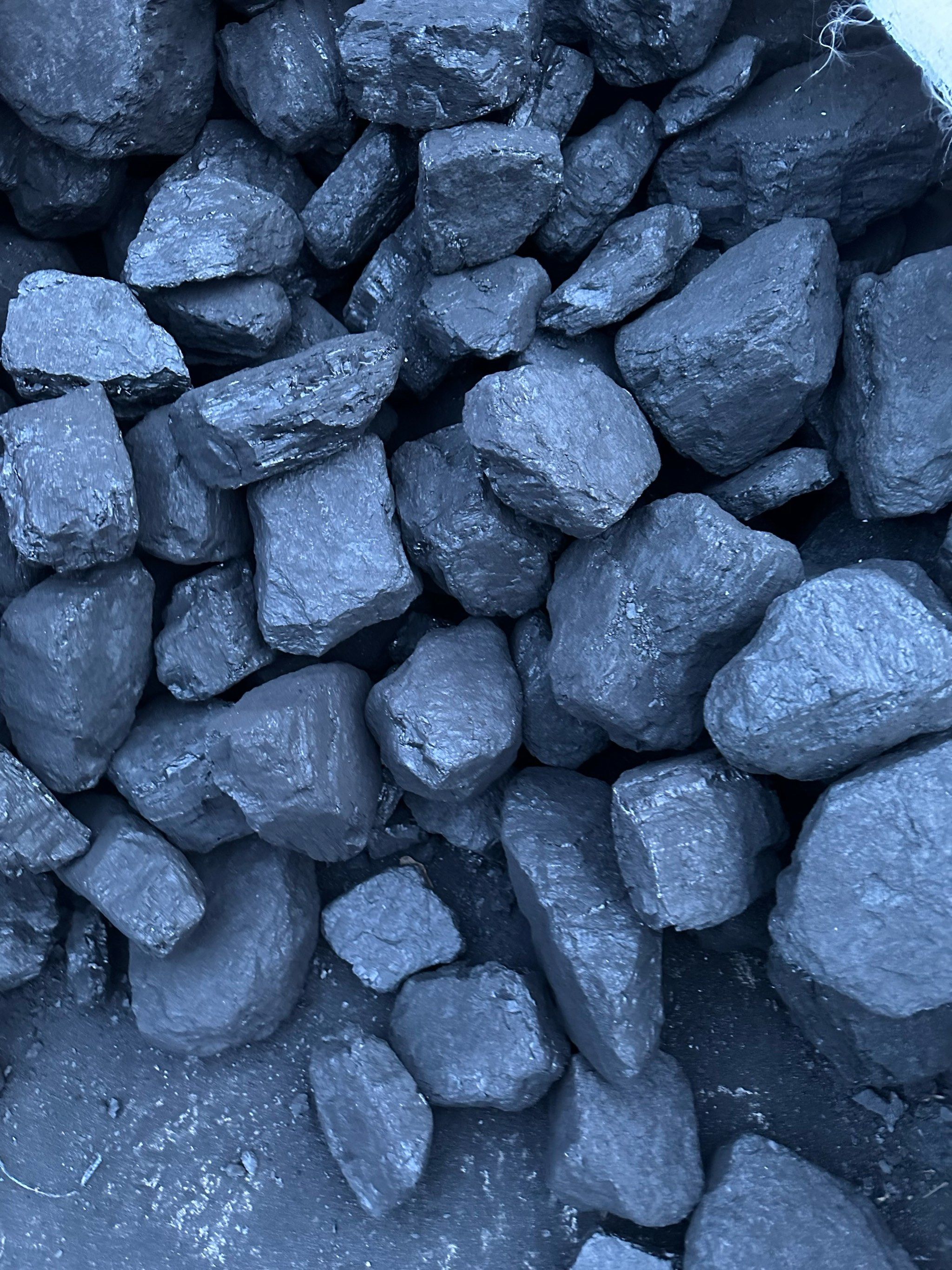 亚洲多国提升煤炭用量以保障能源安全